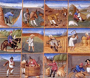 Pictures of agricultural activities such as sowing, harvesting, and winemaking