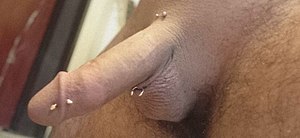 Image showing dydoe pubic and lorum piercings combined
