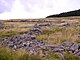 The remains of the Prehistoric settlement at Hen Drer Mynydd
