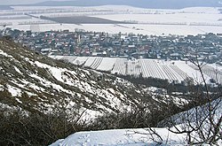 View of Hundsheim and vineyards in winter