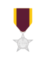 Military Service Star