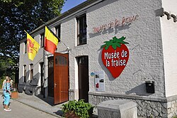Strawberry museum in Wépion