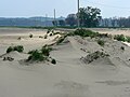Silt and sand dunes from 2011 Missouri River floods