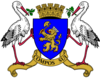 Official seal of Hîncești