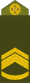 Майстер-сержант (Master Sergeant)