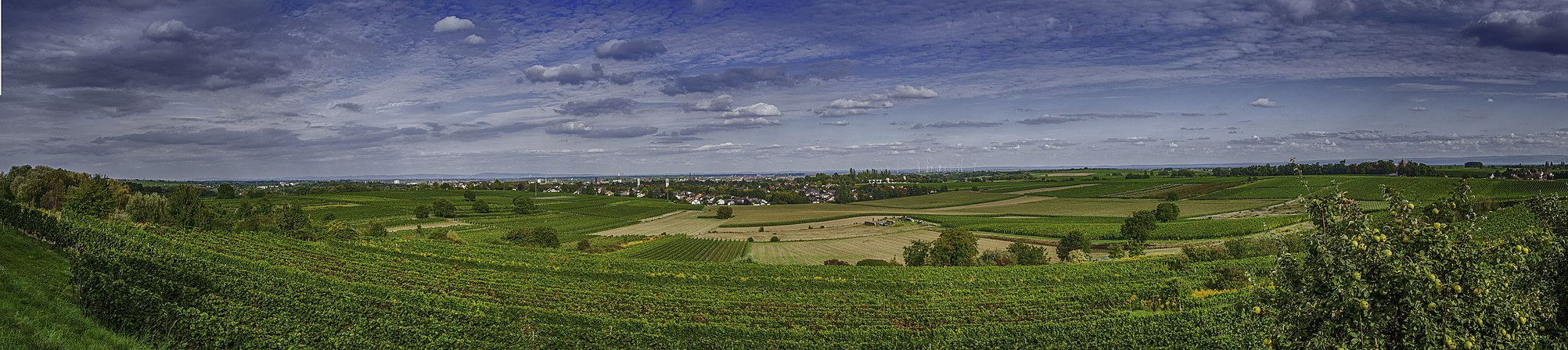 Panorama von Landau in der Pfalz