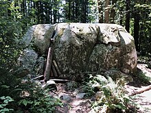 Large glacial erratic boulder in shady forest