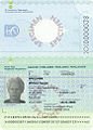 Current-type passport with no RFID chip (only issued at Finnish embassies abroad)