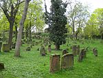 Europas ältester Judenfriedhof in Worms: "Heiliger Sand"