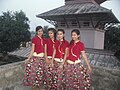 Image 9Nepali traditional Pahadi dress used for dance (from Culture of Nepal)