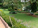 Pilikula Botanical Garden - Sunflower garden near the lawns
