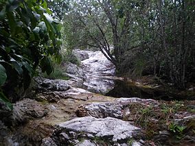 River in the Serra de Itabaiana National Park