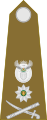 Brigadier general (South African Army)[46]