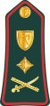 Lieutenant general (Gambian National Army)