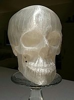 3D printed human skull with data from computed tomography. Transparent PLA.