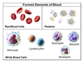 Illustration depicting formed elements of blood