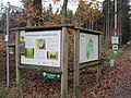 Bestattungswald in Achmer (Niedersachsen)