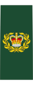 Canadian Army