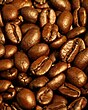Dark roasted coffee beans from Coffee production in El Salvador