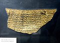 Dead Sea Scroll, Pesher Isaiah, from Qumran Cave 4. The Jordan Museum, Amman