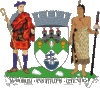 Dunedin City Council coat of arms
