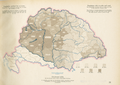 Literacy in Hungary (1910)