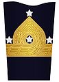 Sleeve insignia for a general in the Amphibious Corps (2000–2003) and Coastal Artillery (1972–2000)