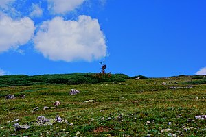 A small, solar-powered weather station is surrounded by native growth on the west side of Rollins Pass, located above Ptarmigan Point.