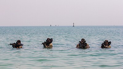 Maritime Raid Force, 26th Marine Expeditionary Unit conduct an amphibious insertion onto a beach