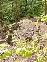 Beispielverlauf der Überreste der Burgmauer der Burgruine Hardeck