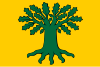 Flag of Carballo