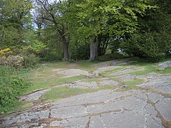 Glacial pavements on Corstorphine Hill, showing striation