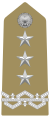 Tenente Generale[26] (Italian Army)