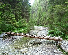 Log bridge in Slovakia with additional boards on top