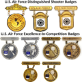 Air Force Marksmanship Competition Badges