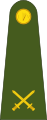 Commandant (Irish: Ceannfort) (Irish Army)[1]