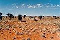 1. Subtropische Wüste: Luftfeuchtigkeit wird vom Wind davongetragen, wie hier in der Kalahari in Namibia.