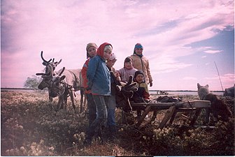 Khanty children pose for the camera in front of a reindeer sledge near Lake Numto