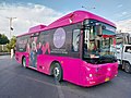 Image 12Peoples Bus Service (Pink) (from Karachi)