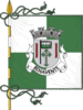Flag of Benavente
