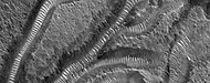 Channels that contain transverse aeolian ridges (TARs), as seen by HiRISE under HiWish program