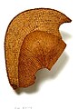 H000141- Wicker helmet (mahiole)