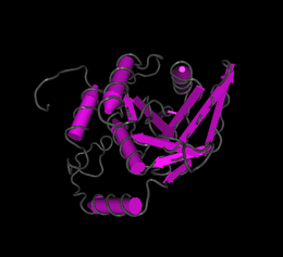 Predicted Fam158a structure from I Tasser