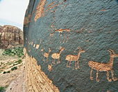 A petroglyph of a caravan of bighorn sheep near Moab, Utah, United States; a common theme in glyphs from the southwestern desert