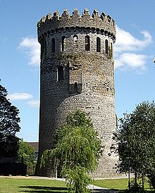 Nenagh Castle: a round castellated tower