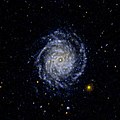 Ultraviolett-Aufnahme von NGC 3344: Die inneren Spiralenarme sind so eng beisammen, dass man sie schwer erkennen kann.