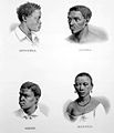 African slaves from Benguela, Angola, Congo and Monjolo