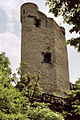 Burg Laurenburg