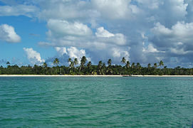 South Andros Island, at Tiamo.