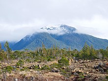 Rocky soil and small green flora in the foreground with tall mountain covered in coniferous trees, patchy clouds, and snow on top in the background.